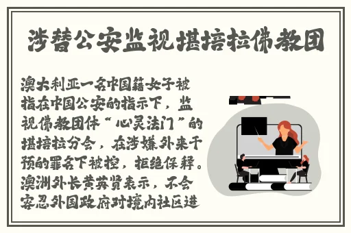 中国viboss孕妇