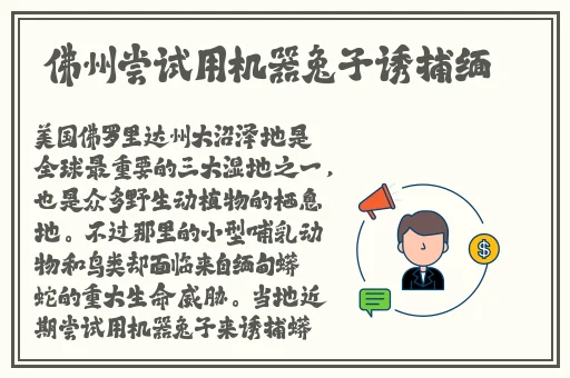 国产精品第一页先锋影音